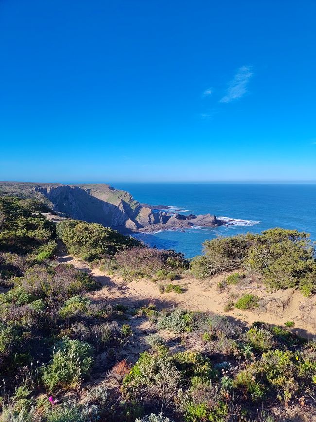 Arrifana -> Aljezur