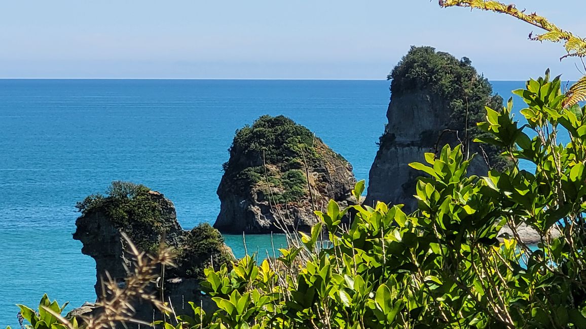 29.Januar-27.Februar 2025 Neuseeland
15.Januar