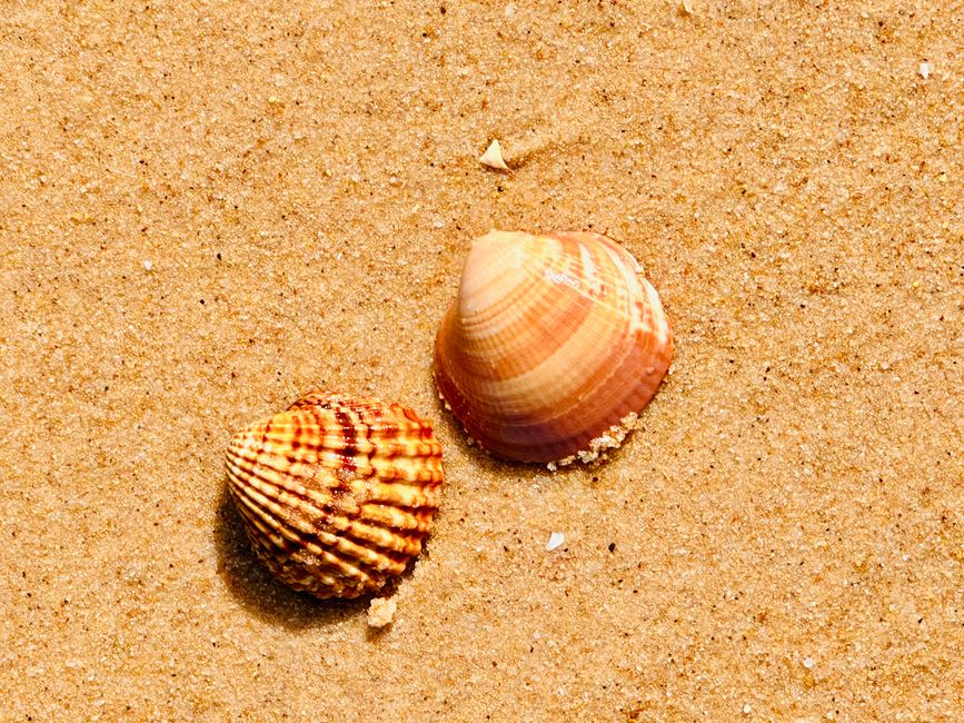 Von Praia do Garrão Nascente bis Praia do Ancão – Ein Strandspaziergang an der Algarve