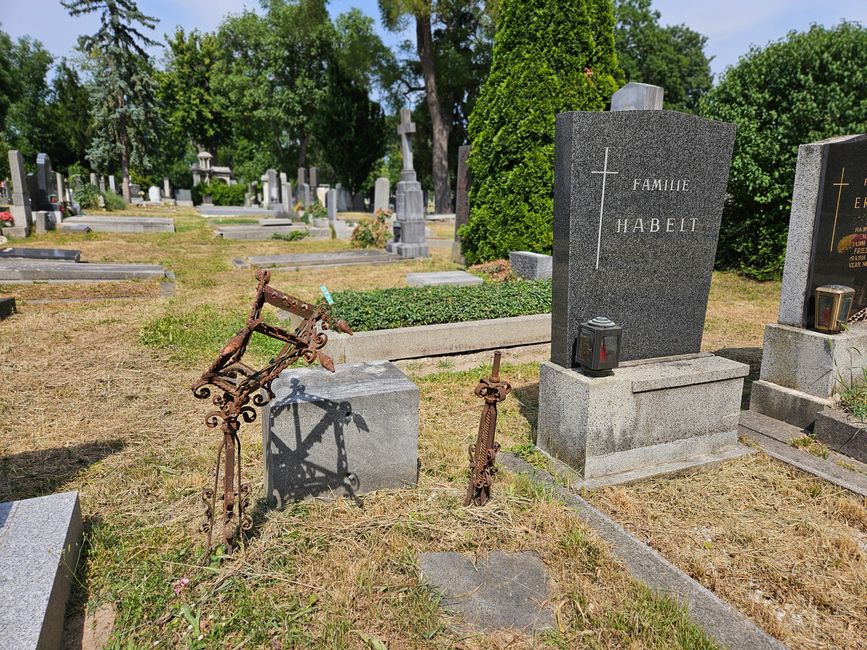 Juillet 2025 - Vienne - Cimetière central de Vienne