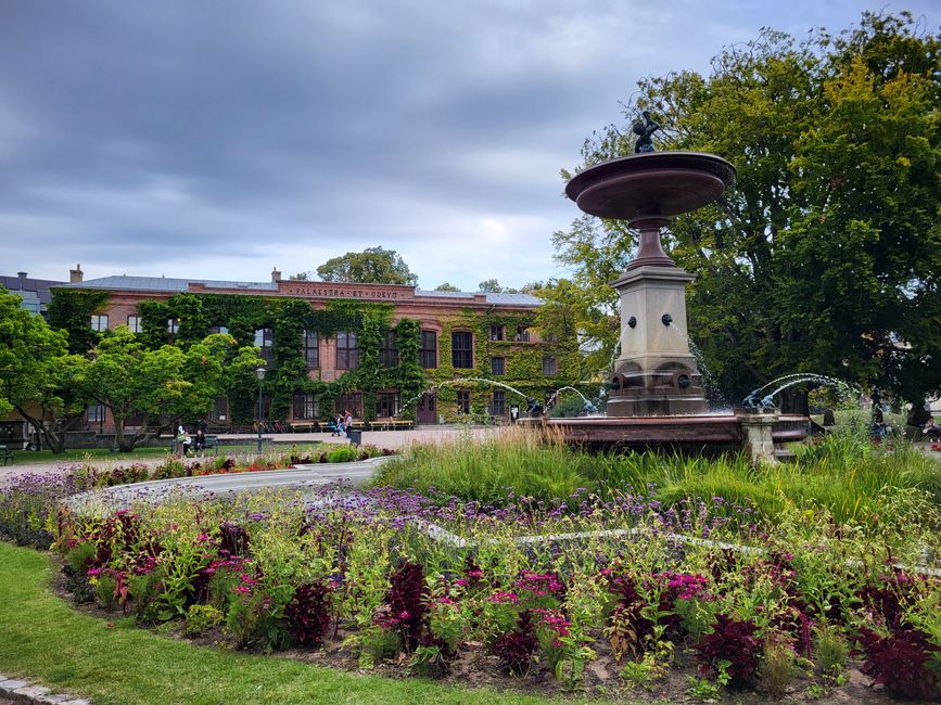 Plaza Universitaria Lund