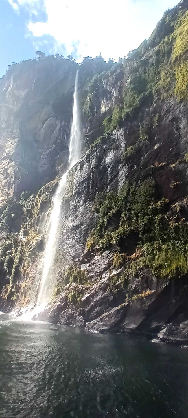 2025-02-19 Fjordland; NZL