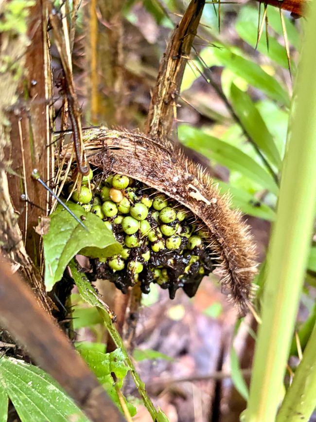 Unterwegs in Costa Rica