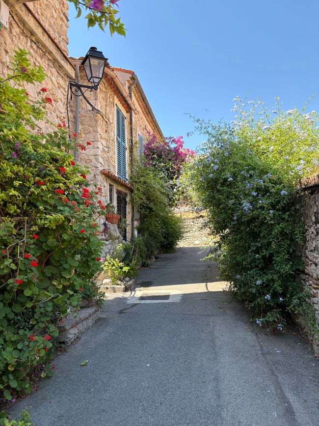 #2/4 - Nizza - Antibe und Cannes