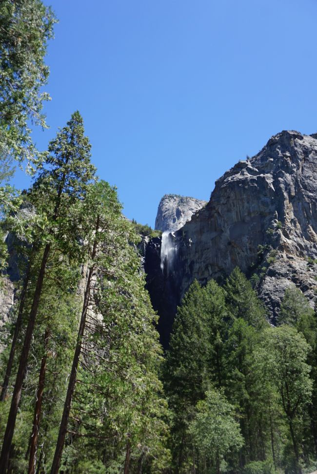 Tag 9 - Ultimo giorno nello Yosemite e un momento indimenticabile con un orso 🐻