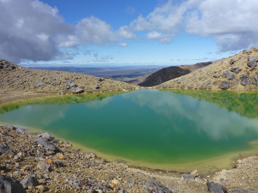 2025-03-29 Tongariro, Timber Trail and ...