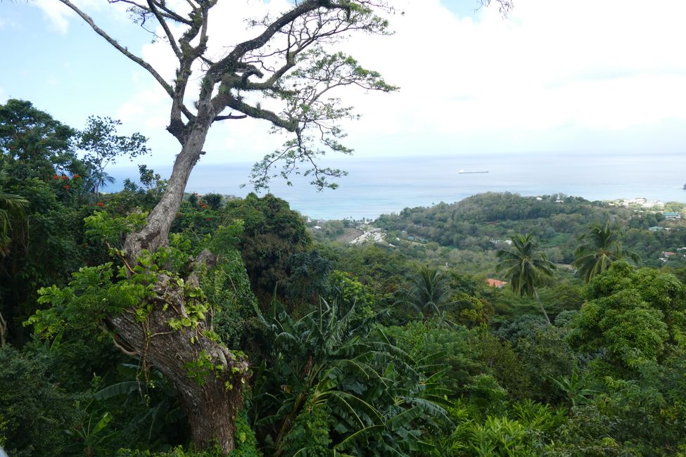 Ultimo giorno a St. Lucia