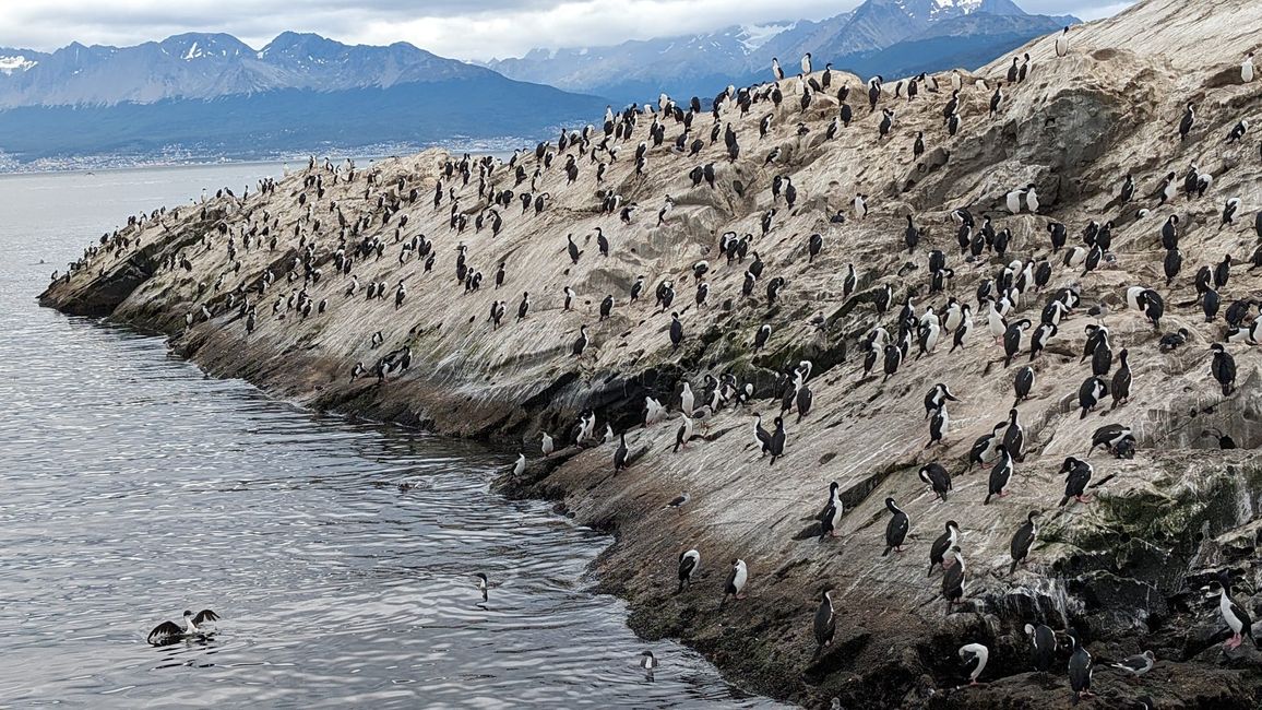 Beagle Channel Navigation mit Patagonia Adventure Explorer