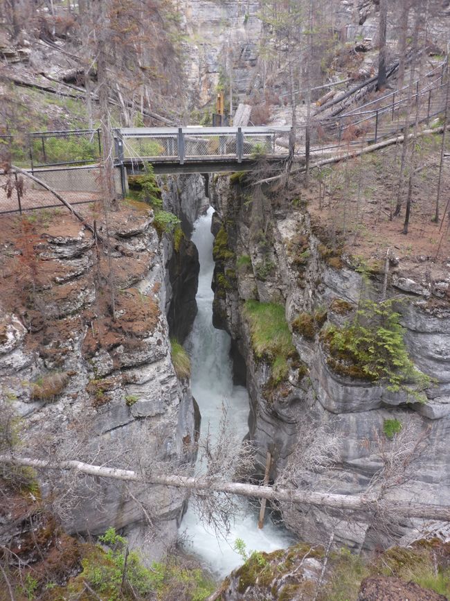 Weiter oben Brücke 3