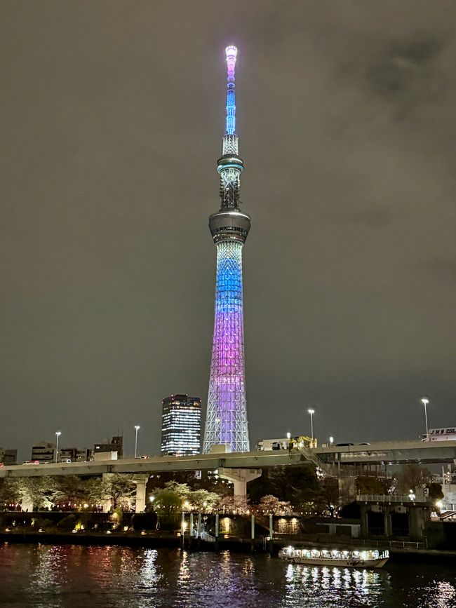 Parte 7
BENVENUTO IN GIAPPONE 🇯🇵
TOKYO