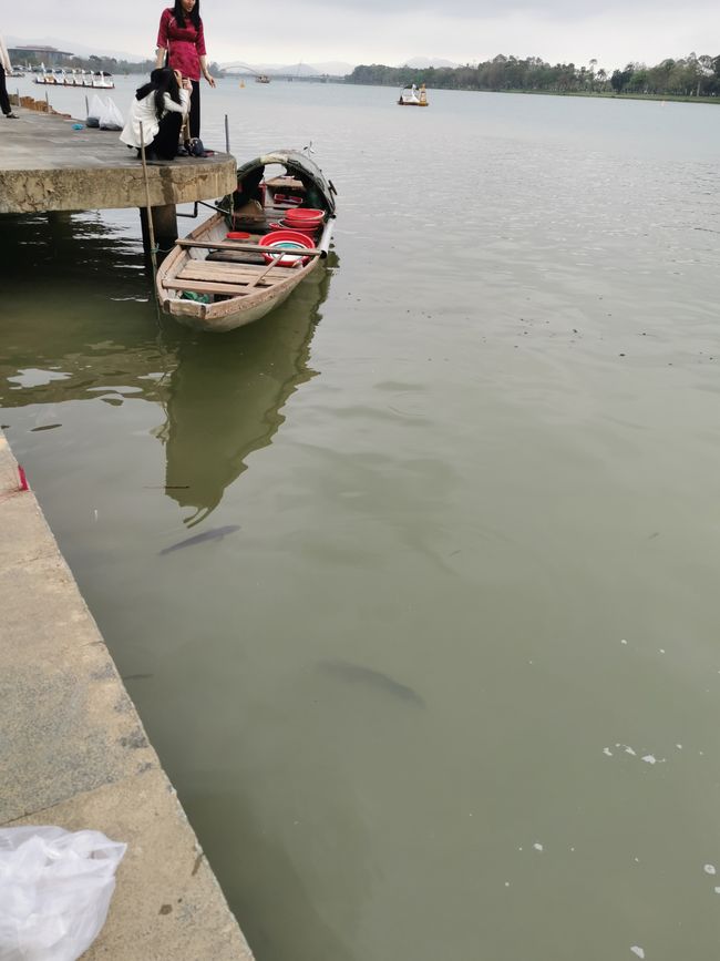 ... Une tranquille effervescence de poissons...