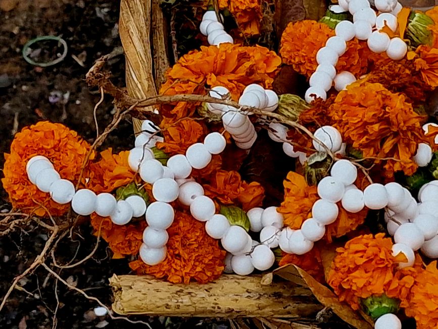 Luang Prabang - worauf kommt es an?