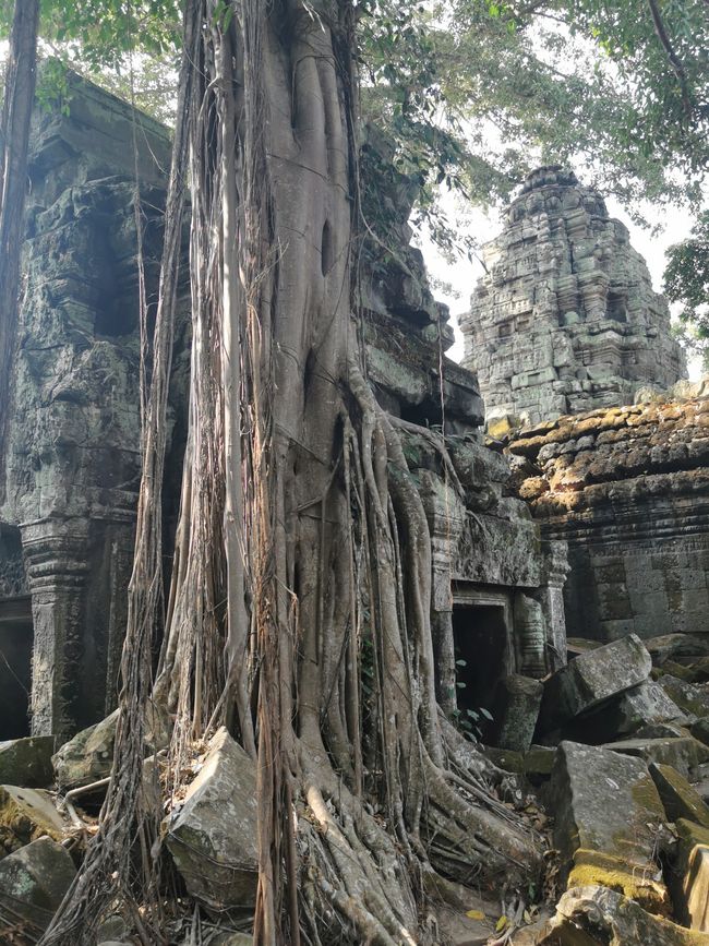 On Temple Tour in Siem Reap