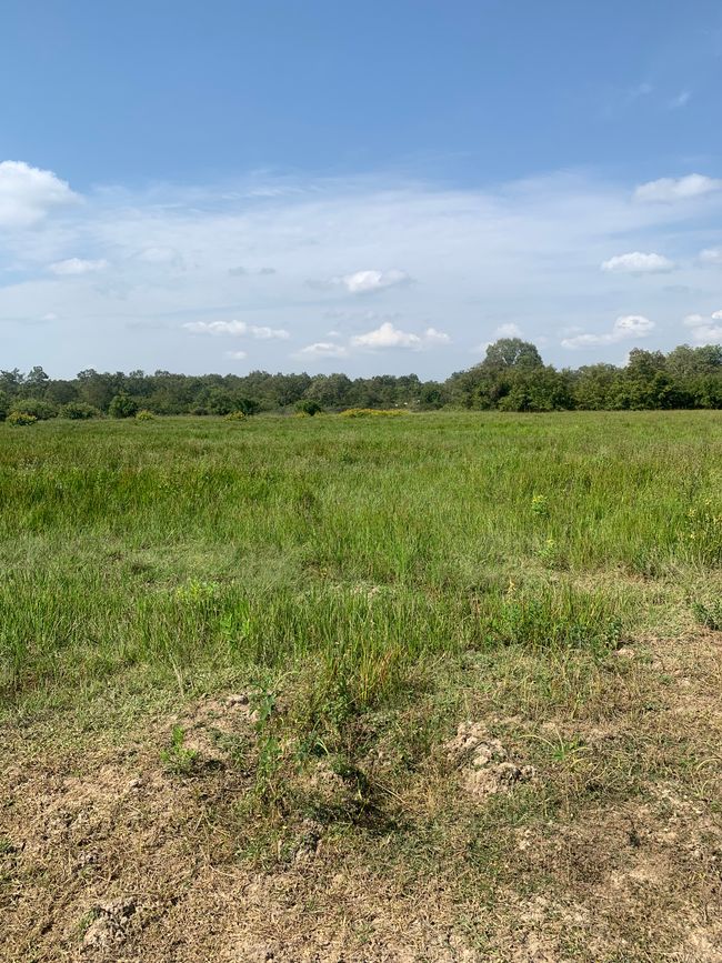 Parco Nazionale Mole & Larabanga