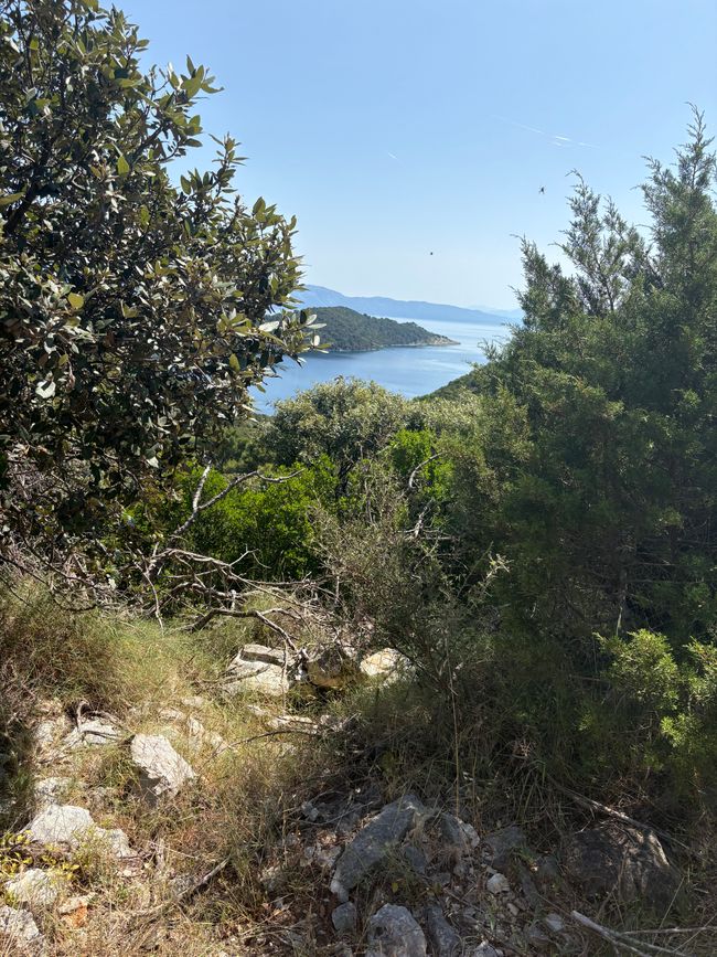 Radfahren auf Mljet