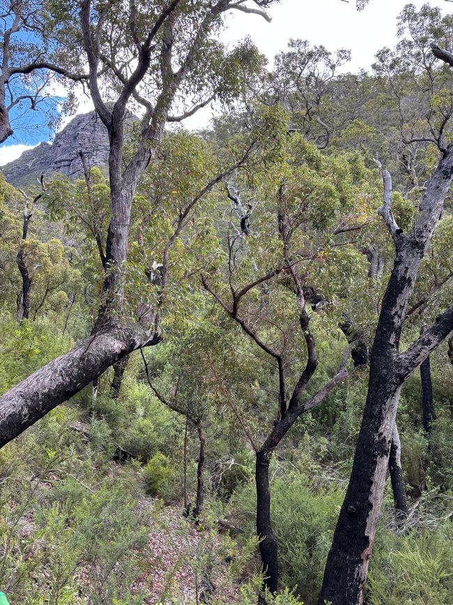 Stirling Range National Park