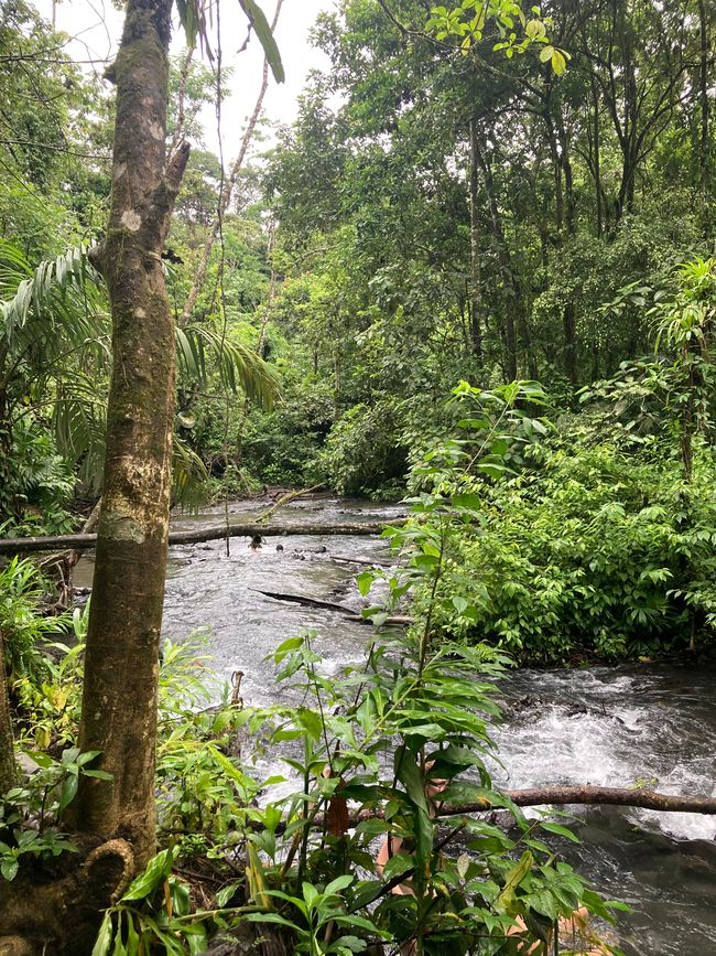 La Fortuna/Vulcain El Arenal
