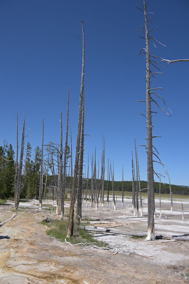 Bassin de geysers Inférieur