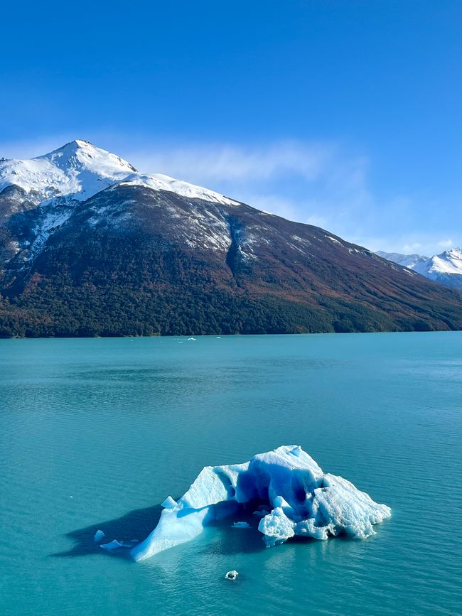 Eis treibt in den Lago Argentino 