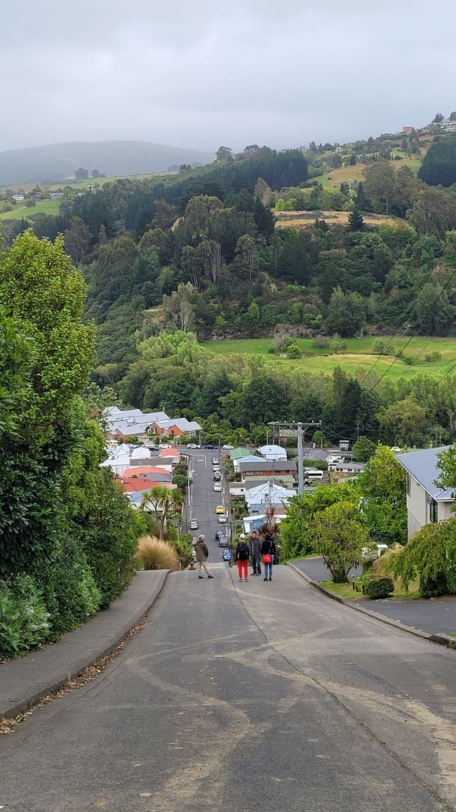 29.Januar -27.Februar 2025 Neuseeland
7.Februar