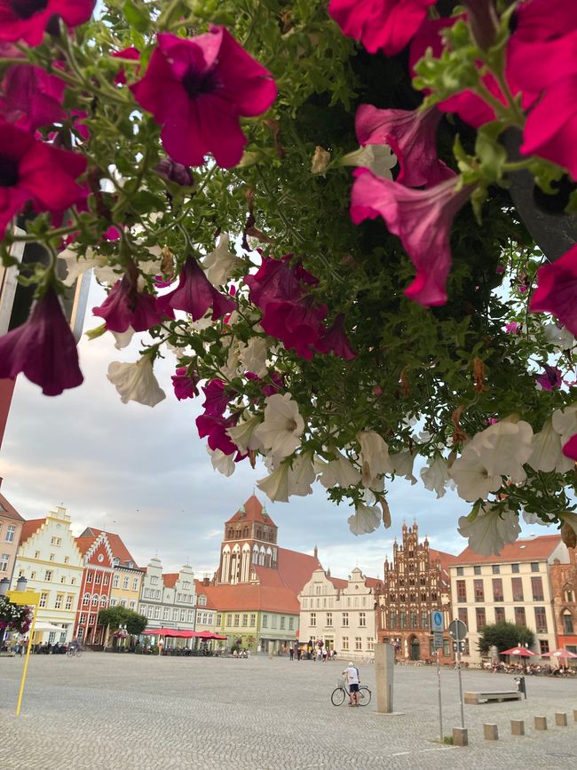 In Greifswald muss man sich einfach verlieben 