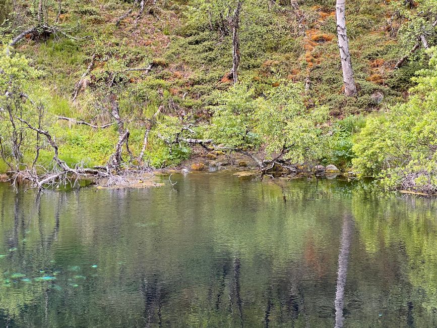 Die Größte Wasserquelle Finnlands