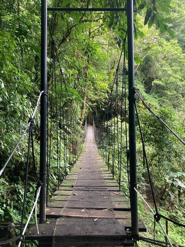 Monteverde
