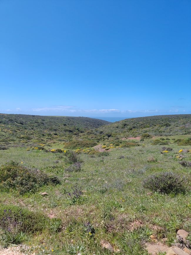 Sagres -> Vila do Bispo