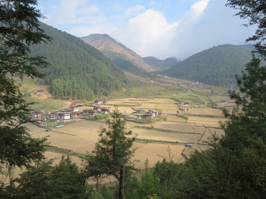 Blick ins Tal