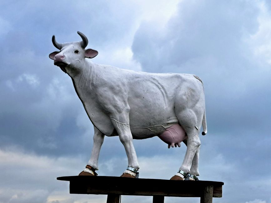 La vache