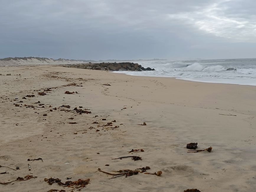 Grey Sea 