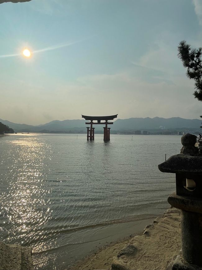 Japón - Tradición, Técnica y Bullicio