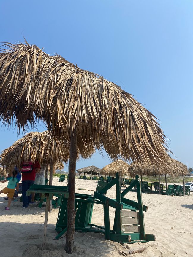 Strand Tampico