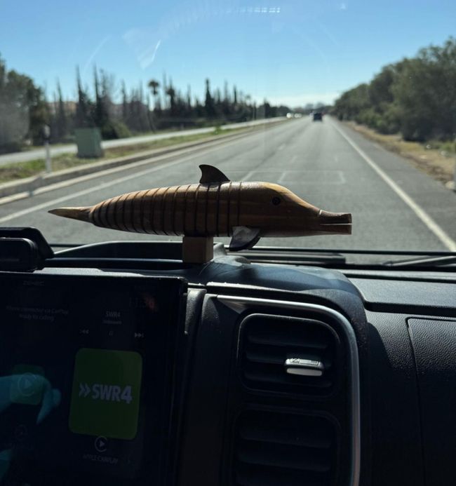 E- schöne Tage in Cartagena 