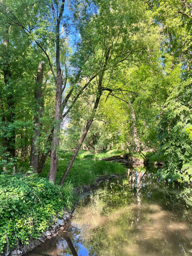 40 to Grünwald