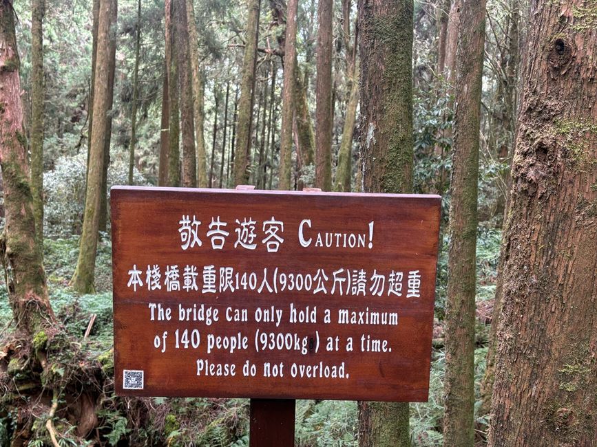 Tag 11 - Alishan