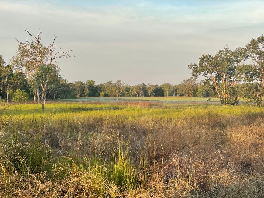 Arrival in the wetlands on the way to Kakadu National Park