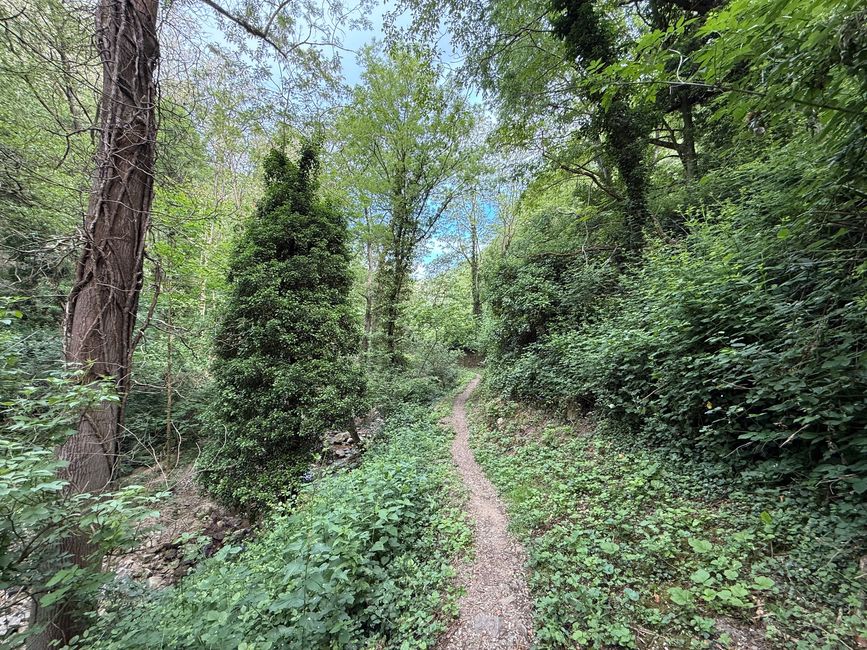 Ausflug nach Condrieu, Route barrée