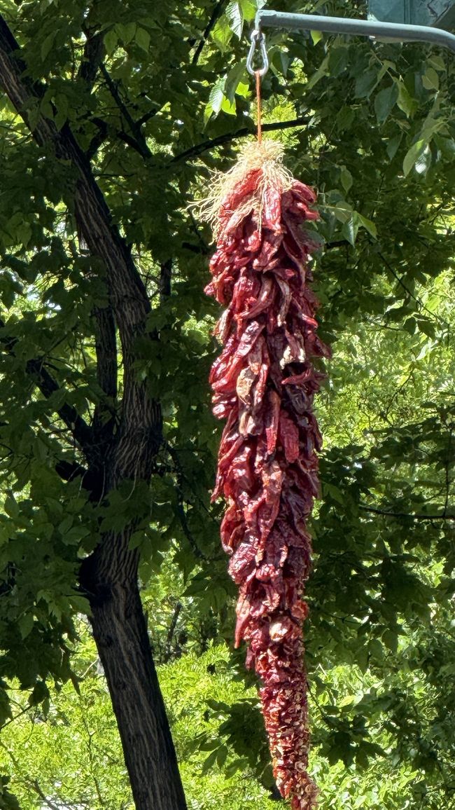 Chili - également visible dans le paysage urbain
