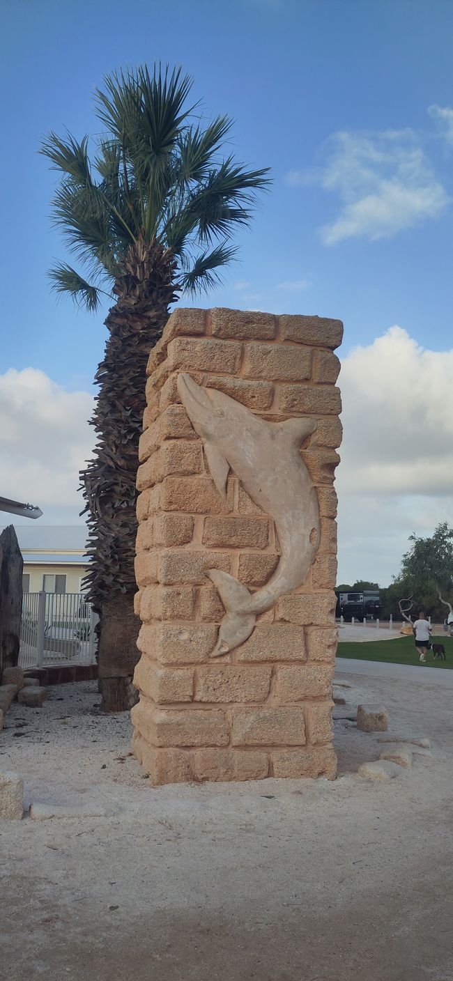 Entrance at the RAC Monkey Mia Dolphin Resort made of shells. (Greetings to Grospi)