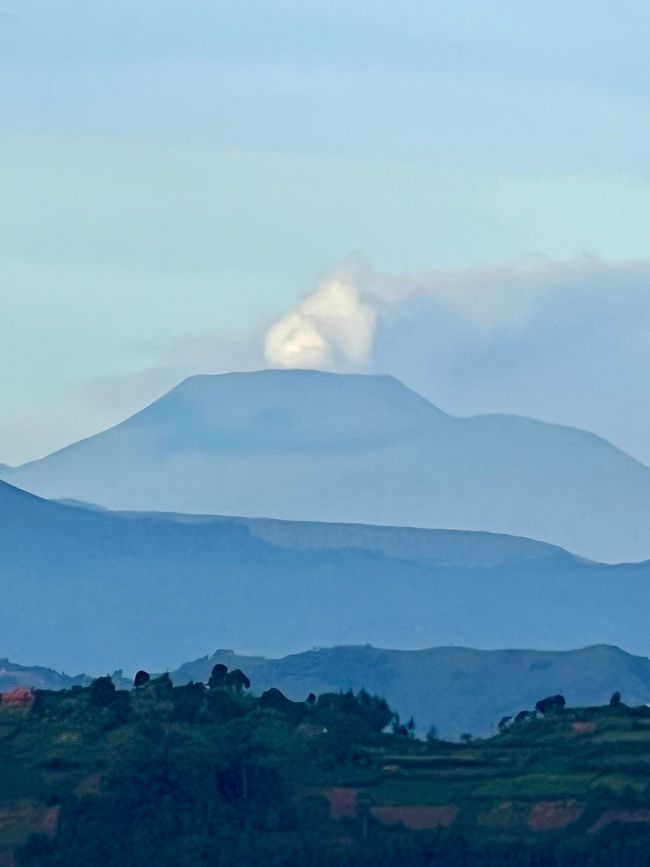 Reise zu den Turaco Tree Tops