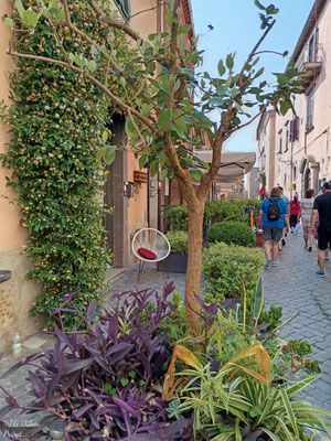 Tuscania und Wein
Mein Schiff Relax
11. Juni - 20. Juni 2025