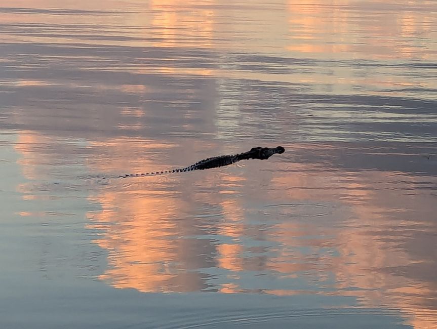 Chobe River und Nationalpark