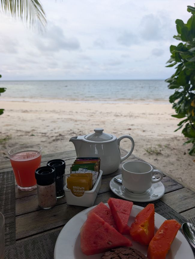 Weltweit einzigartig😱🥥