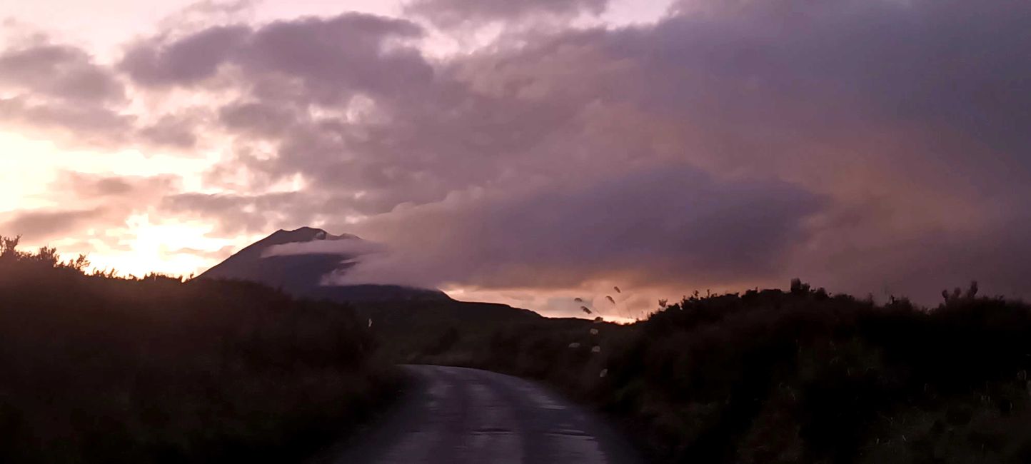 2025-03-29 Tongariro, Timber Trail and ...
