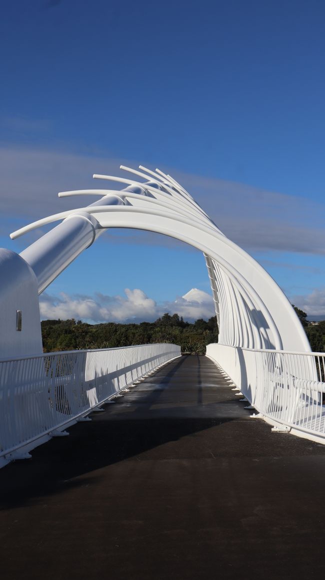 Te Rewa Rewa Bridge