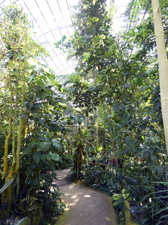 Makino Botanical Garden