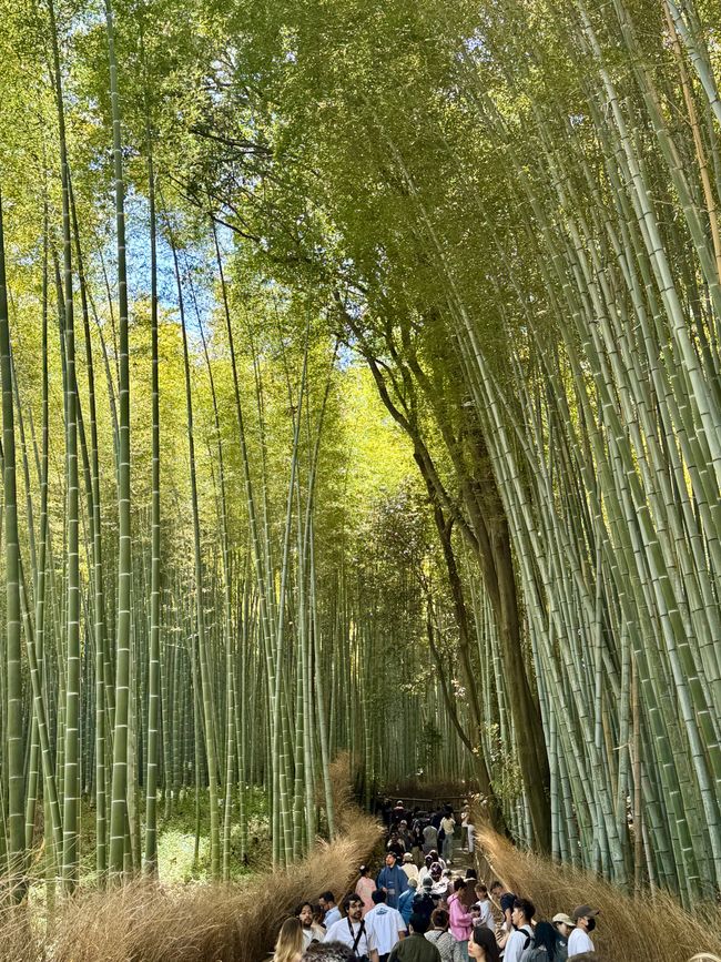 Part 8 Japan 🇯🇵 Kanazawa