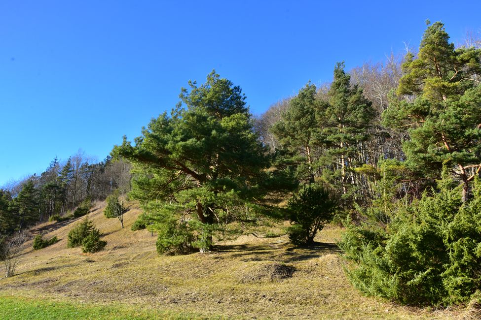 R E I T E R L E S   K A P E L L E - Wallfahrt, Legende und Wanderparadies