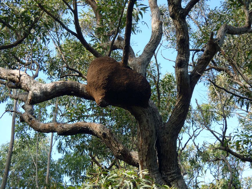 Sydney, 2ème jour